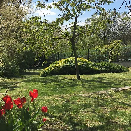 Iris Vendeghaz Tihany